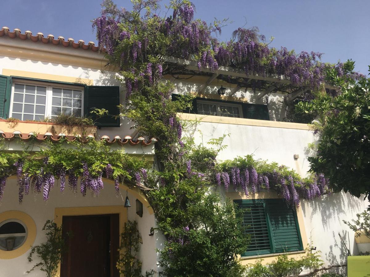 A Casa Do Lagar Apartment Азейтау Екстериор снимка
