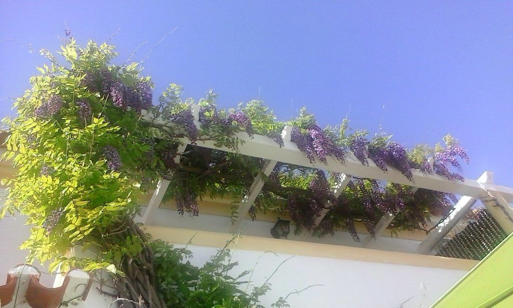 A Casa Do Lagar Apartment Азейтау Стая снимка